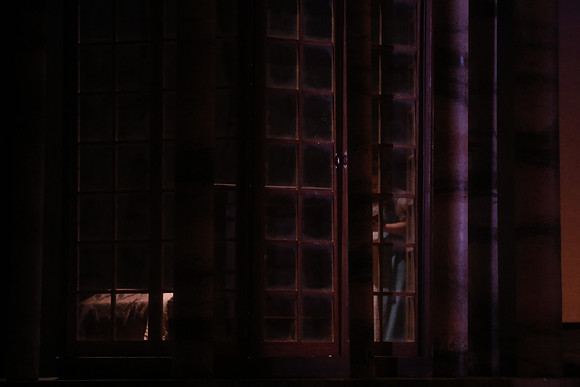 Eugene Onegin Florida Grand Opera by Konstantin Shilovsky
