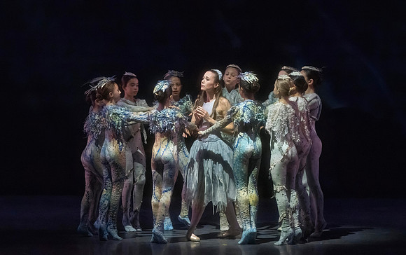 20241018_untitled20241018_Midsummer_2 Cast_MCB_Morning_0241