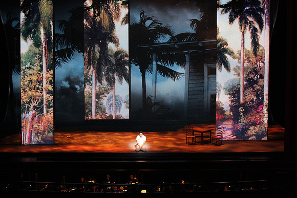Before Night Falls Florida Grand Opera by Jorge Martin with Dolores M. Koch