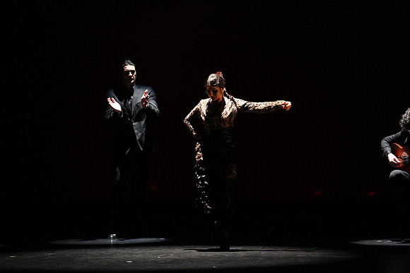 20140227_Flamenco_Festival_1_9C7C0013