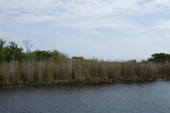 84675_Evergaldes_Miami_FL_ZV4N_6644