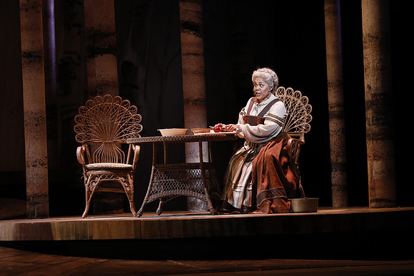 Eugene Onegin Florida Grand Opera by Konstantin Shilovsky