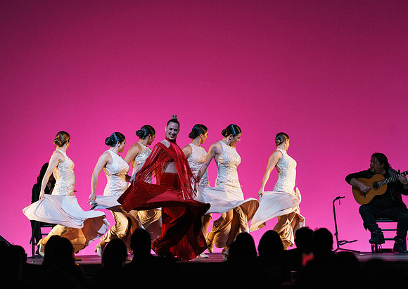 20210417_Siudy_ flamenco_archt_DSC9877