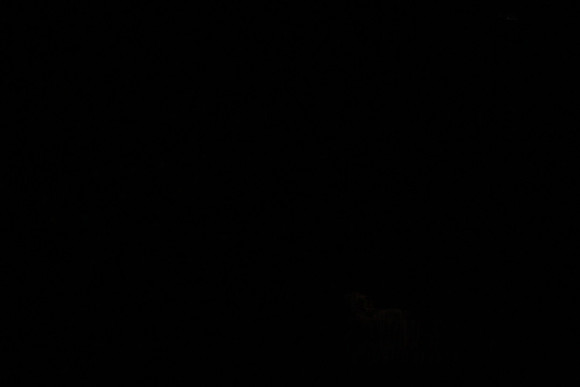 20130328_file004284
