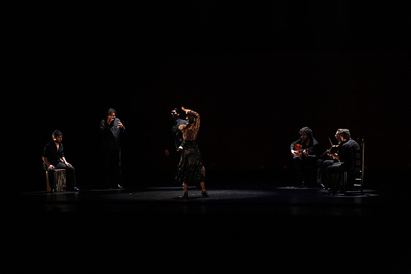 20140227_Flamenco_Festival_1_9C7C0103
