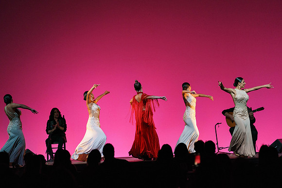 20210417_Siudy_ flamenco_archt_DSC9860