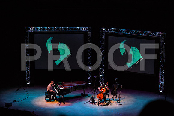 20150203_The_Piano_Guys_Arsht_9C7C1201