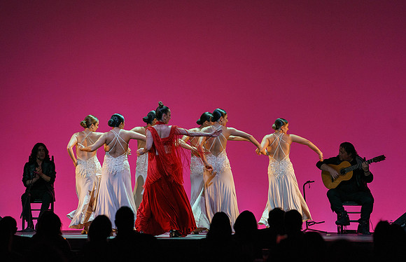 20210417_Siudy_ flamenco_archt_DSC9894