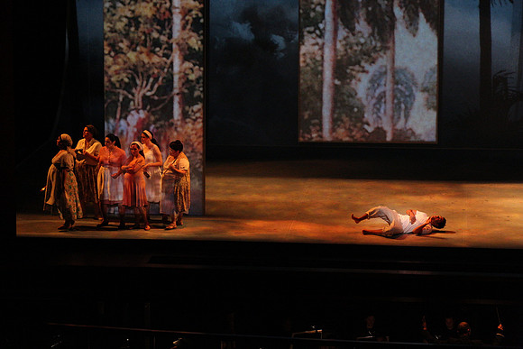 Before Night Falls Florida Grand Opera by Jorge Martin with Dolores M. Koch