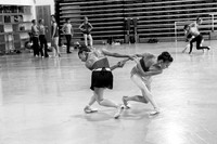 Symphonic dances-2011-12