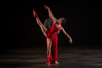 _DSC0316