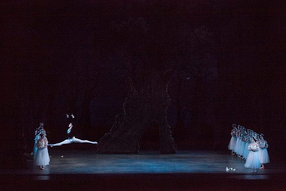 7064_DG_GISELLE_Broward_Preformance_Miami_City_Ballet_FL_IMG_4893