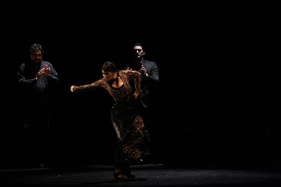 20140227_Flamenco_Festival_1_9C7C0099