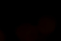 20121412_AL1B1576