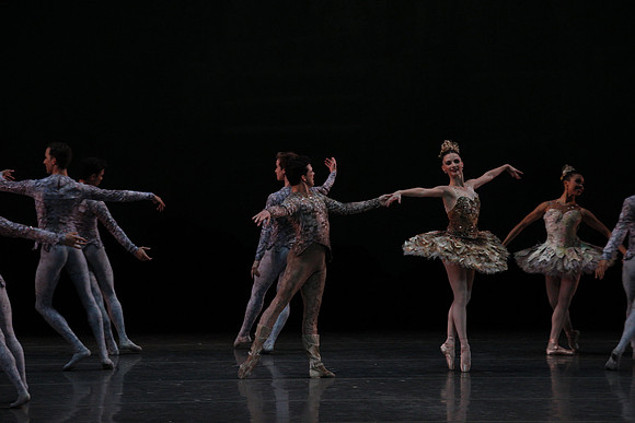 20160318_Midsummer_Night's_Dream_PR_Closeup_G3P0094