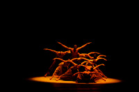 Alvin Ailey_2016 Julian to edit Revelation