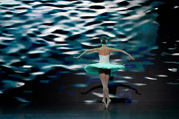 _DSC5574