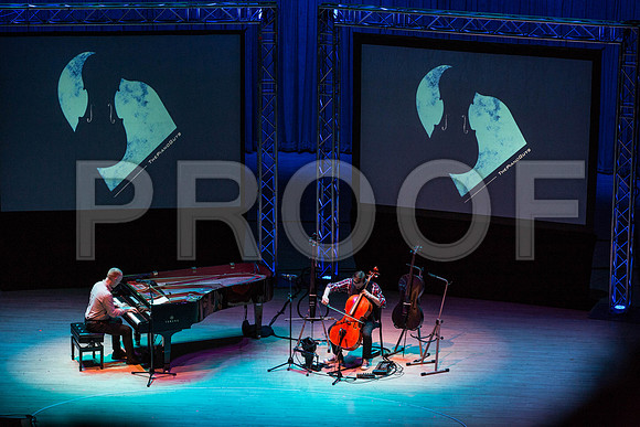20150203_The_Piano_Guys_Arsht_9C7C1239