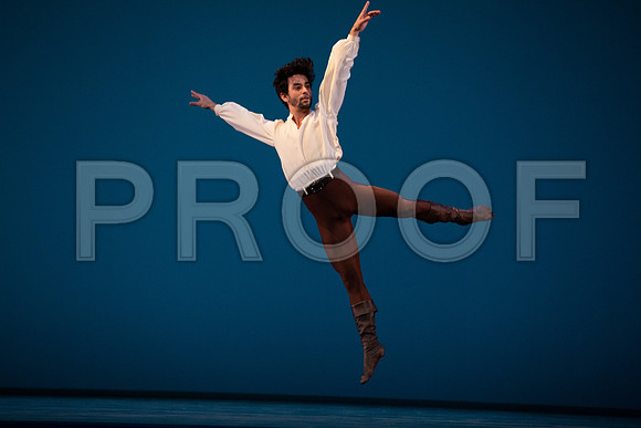 Dance_at_a_Gathering_2_Cast_DA4455