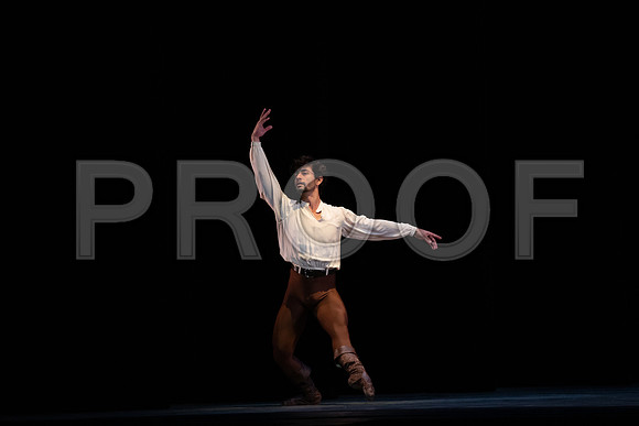 Dance_at_a_Gathering_2_Cast_DA4459