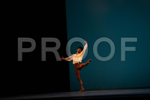 Dance_at_a_Gathering_2_Cast_DA4475