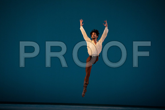 Dance_at_a_Gathering_2_Cast_DA4481