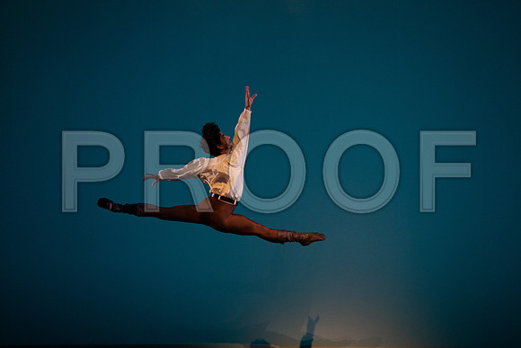Dance_at_a_Gathering_2_Cast_DA4487
