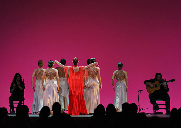 20210417_Siudy_ flamenco_archt_DSC9958