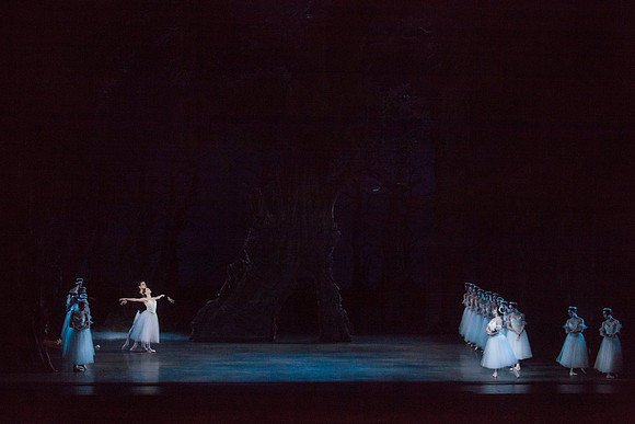7064_DG_GISELLE_Broward_Preformance_Miami_City_Ballet_FL_IMG_4665