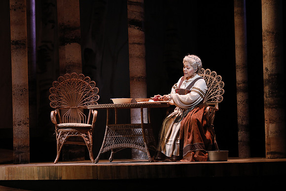 Eugene Onegin Florida Grand Opera by Konstantin Shilovsky