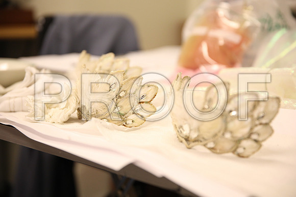 20150901_Fitting_Swan_Lake_Wardrobe_IMG_6232