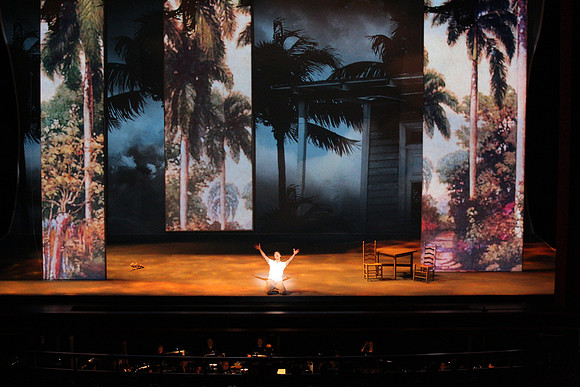 Before Night Falls Florida Grand Opera by Jorge Martin with Dolores M. Koch