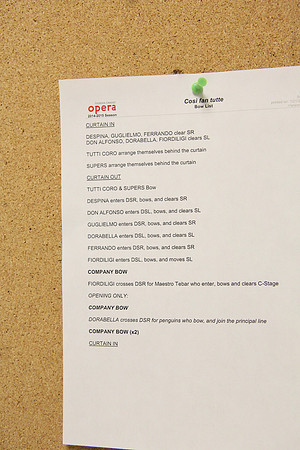 20150123_FGO_Cosi_fan_Tutte_Cast2_9C7C9041