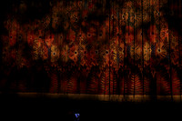 20150226_The_Pearl_Fisher_Act_2CG3P2845