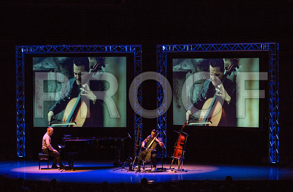 20150203_The_Piano_Guys_Arsht_9C7C1491