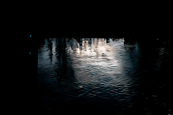_DSC5556