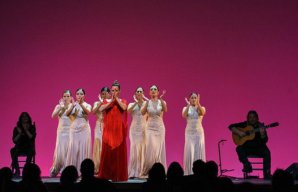 20210417_Siudy_ flamenco_archt_DSC9934