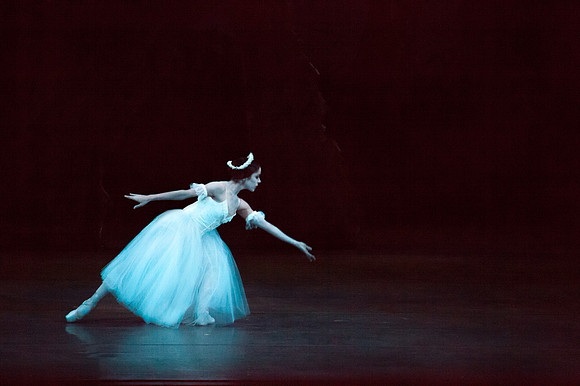 7064_DG_GISELLE_Broward_Preformance_Miami_City_Ballet_FL_IMG_4107