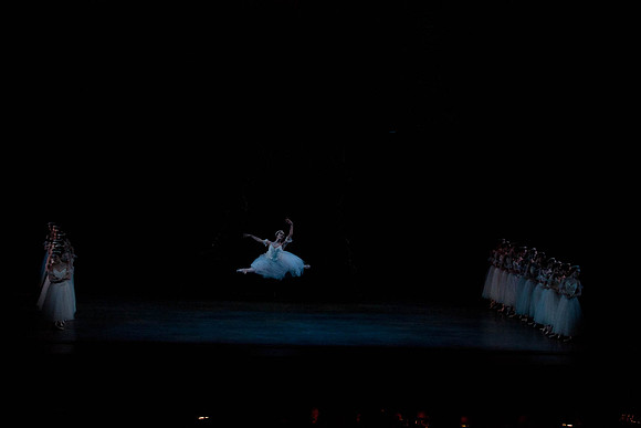 7064_DG_GISELLE_Broward_Preformance_Miami_City_Ballet_FL_IMG_4319