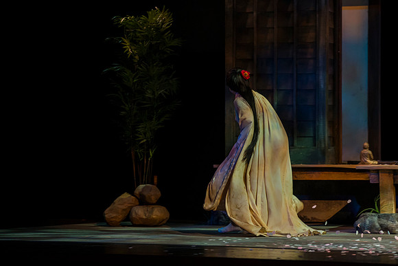20141113_Madama_Butterfly_Arsht_CG3P2622