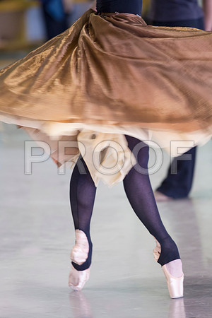 7023_DG_Rehersal_IN_THE_NIGHT_Villella_Sosennko_Renno_Miami_City_Ballet_FL_AL1B8002.1