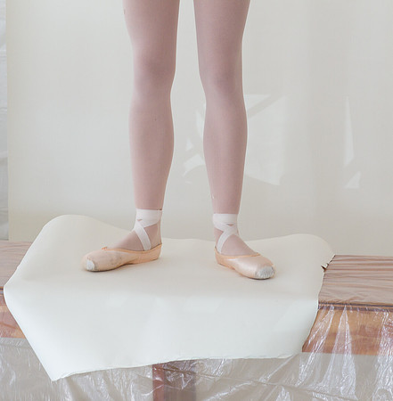 6048_DG_Ballerina_Shoes_09272011_opulance Cover_Ballet_FL_AL1B7027