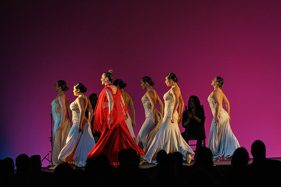 20210417_Siudy_ flamenco_archt_DSC0002
