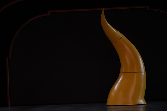 _DSC0483