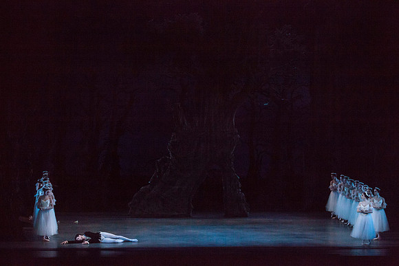 7064_DG_GISELLE_Broward_Preformance_Miami_City_Ballet_FL_IMG_4852
