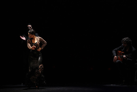 20140227_Flamenco_Festival_1_9C7C0131