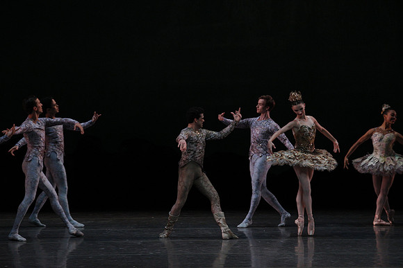 20160318_Midsummer_Night's_Dream_PR_Closeup_G3P0089