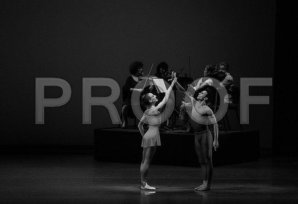 _C7C3369 BW