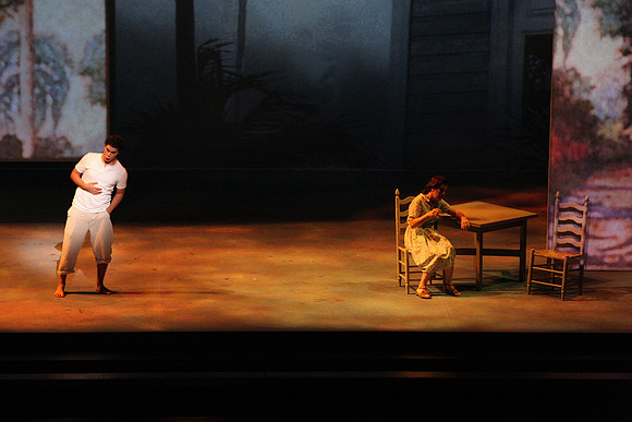 Before Night Falls Florida Grand Opera by Jorge Martin with Dolores M. Koch