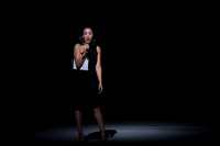 Lucia di Lammermoor Florida Grand Opera by Salvadore Cammarano